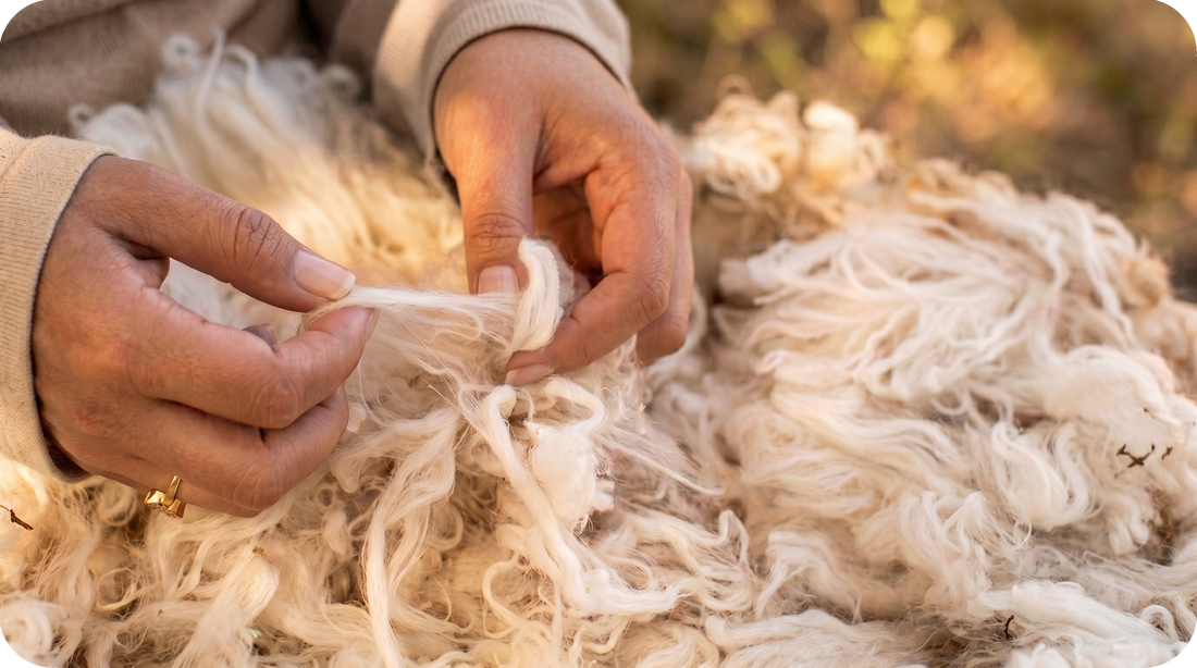 On our wool blend, New Zealand and High Atlas