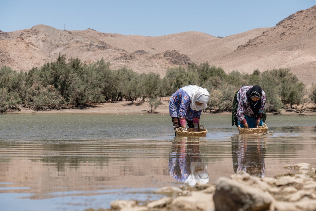 Made in Morocco – Moroccan Rugs - Benisouk