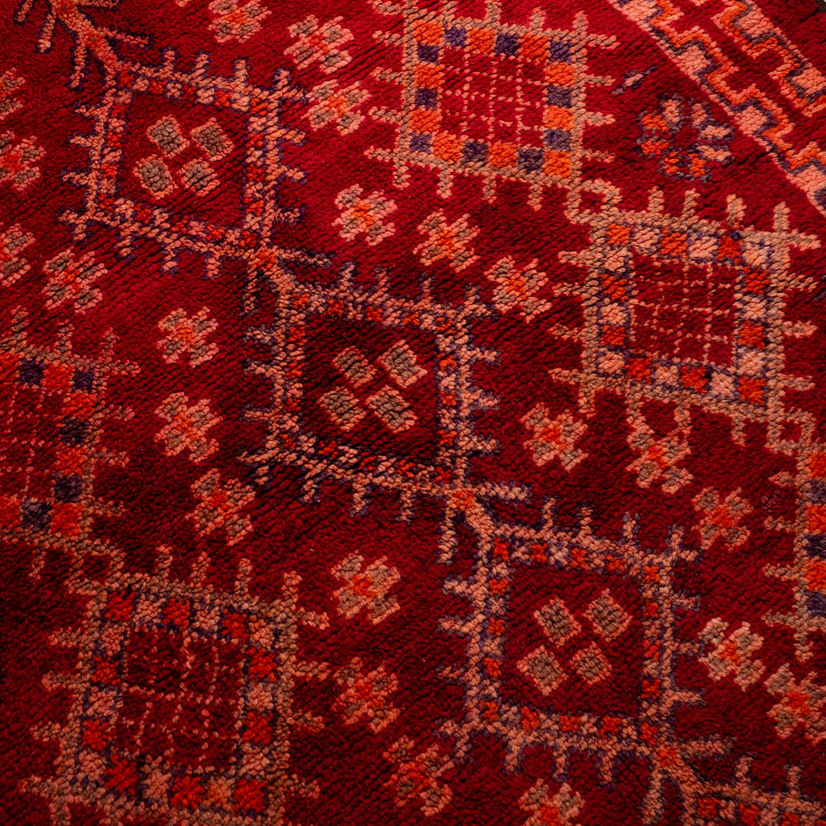Fadlia - vintage boujad rug