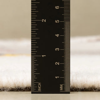Nassij - taznakht kilim rug