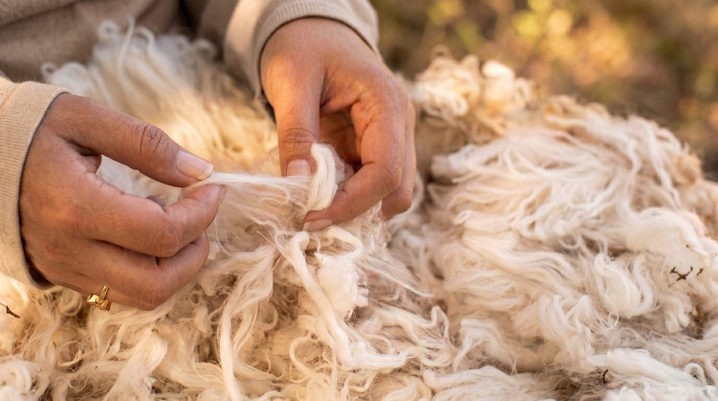 On our wool blend, New Zealand and High Atlas