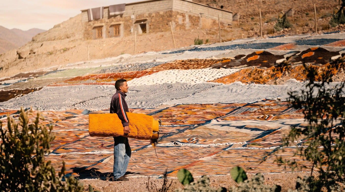 The drying of the wool