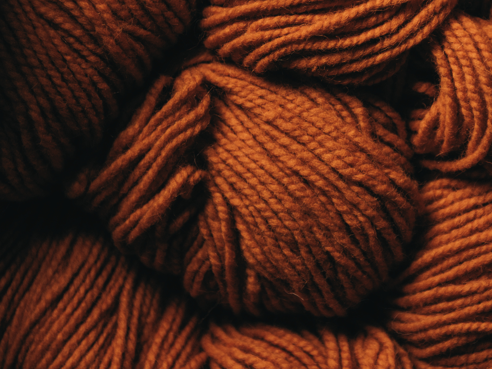The wool is older than this house.