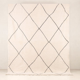 Amenzu - taznakht kilim rug