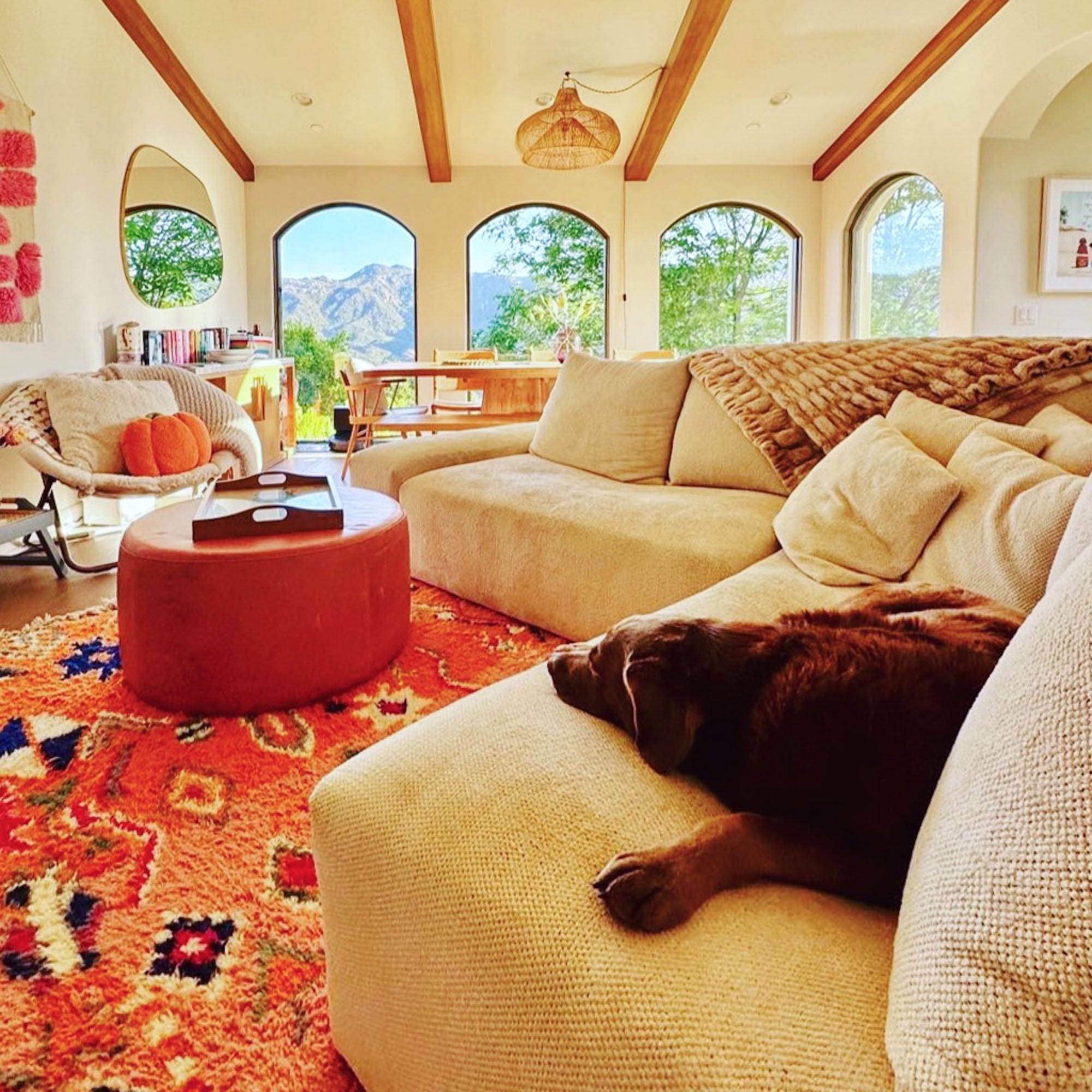 Farah - Shag Moroccan rug - Benisouk