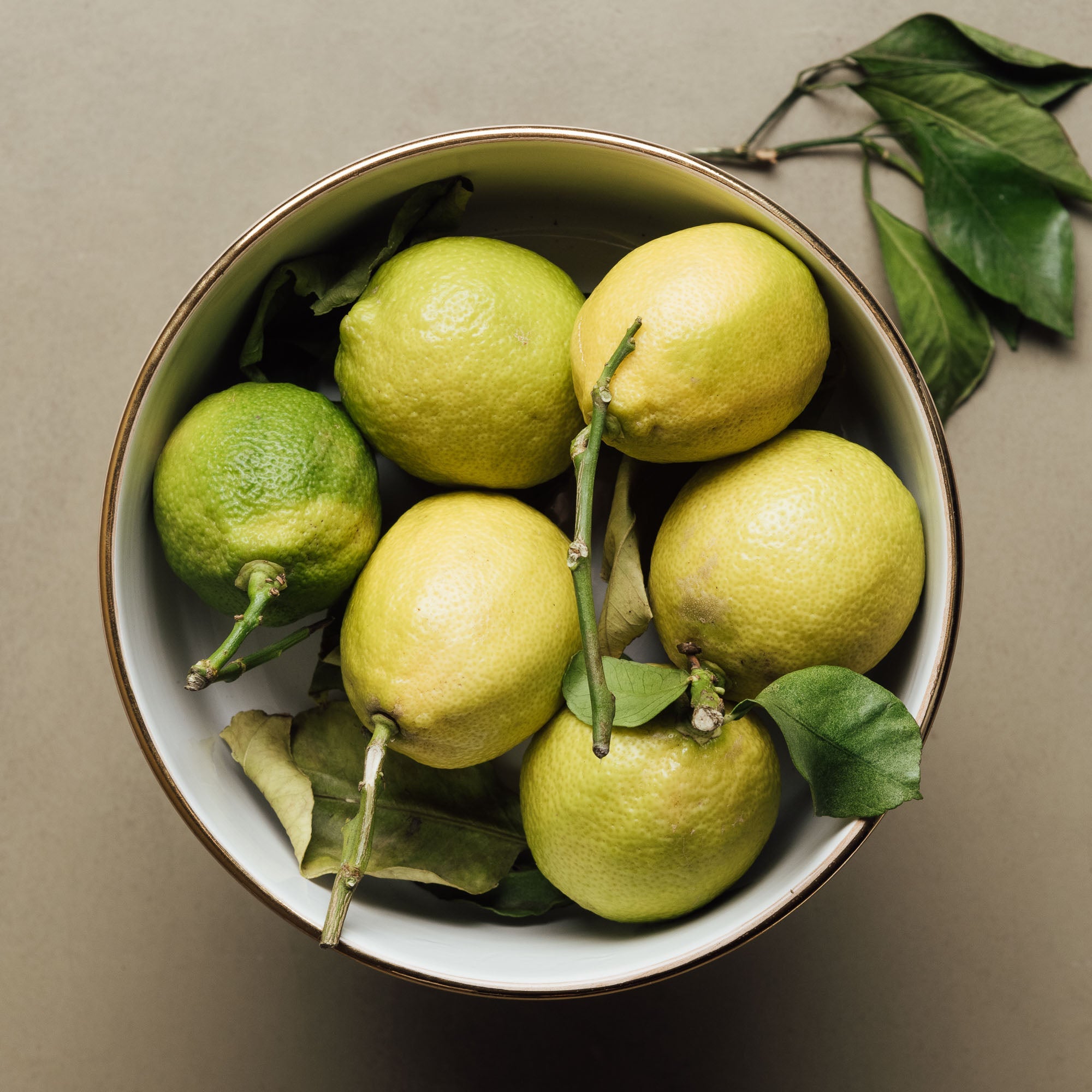 Fez Sand Pedestal Bowl - Handcrafted with 12 Carat Gold Accents - Benisouk