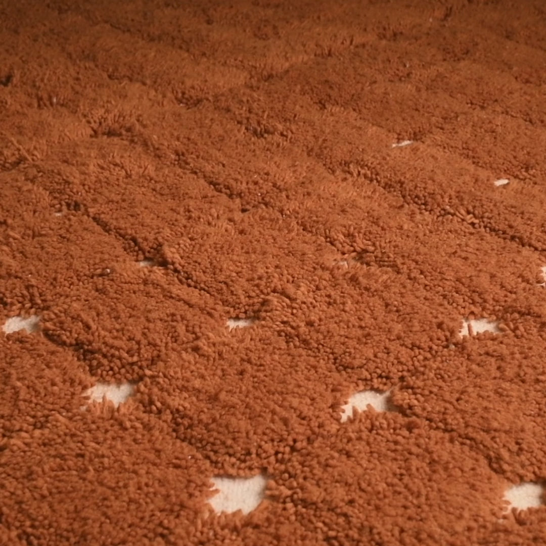 Nouran - Beni ourain rug