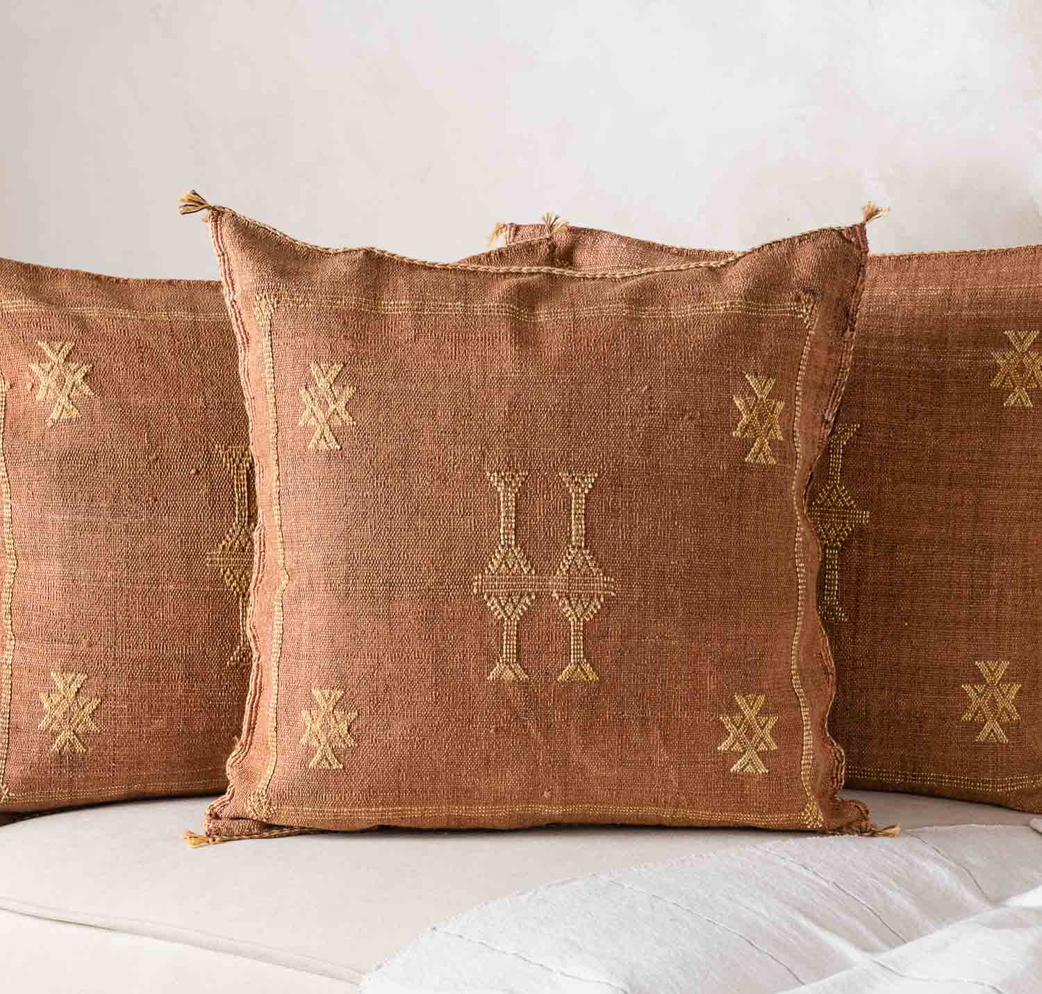 Brown Cactus silk pillow cover - Benisouk