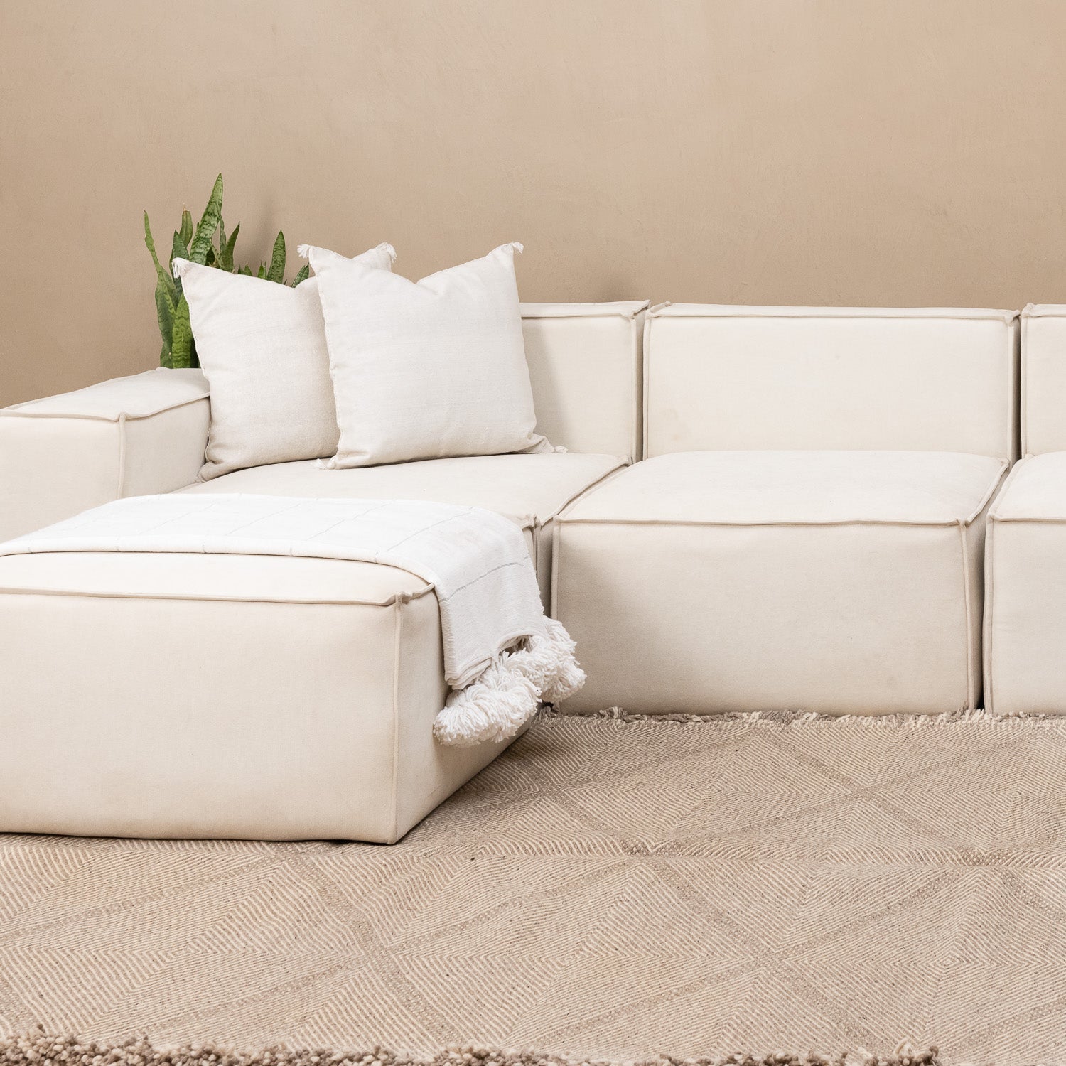 Kamel - taznakht kilim rug - Benisouk