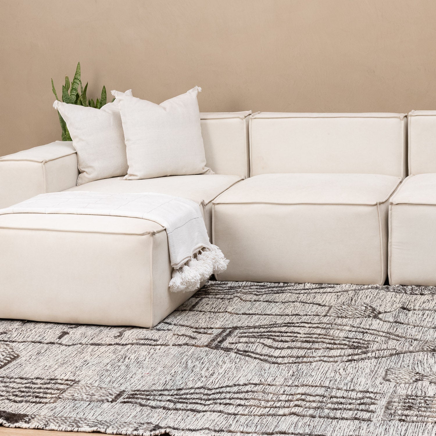 Sabar - taznakht kilim rug - Benisouk