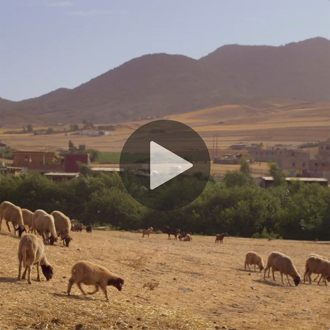 Noujoum  – marokkanischer Hochflor-Teppich